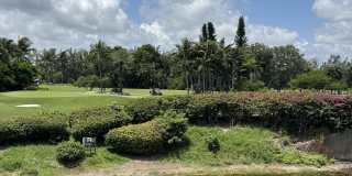 297 Deer Creek Boulevard unit: 1305 Gallery 50