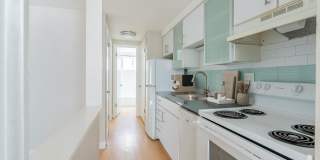 805 Dahlia Gallery 4