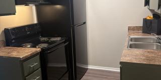 Black Pine Flats Gallery 35