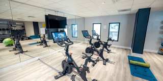 The Wayland Gallery 16