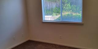 Coming soon 4 Bedroom home in the Berry Gardens Coming soon 4 Bedroom home in the Berry Gardens Gallery 11