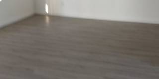 Diamond Pacific Gallery 8