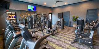 Sheldon Park Gallery 11