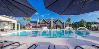 The Canter The Canter Gallery 8