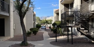 Maguire Hill Gallery 6