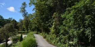 3 Pine Terrace Road Gallery 4