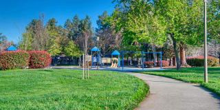 Reserve at Mountain View Gallery 19