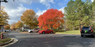 833 Providence Glen Drive Gallery 1