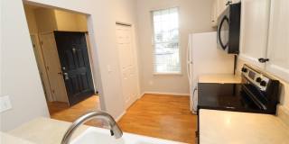 3013 Silky Dogwood Trail Gallery 14