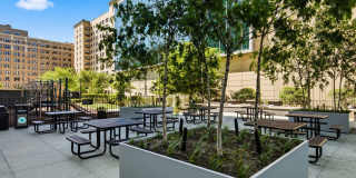 330 W Diversey Parkway Gallery 36