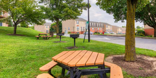 Dunfield Apartments & Townhomes Gallery 32