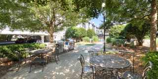 The Grove Chamblee Gallery 22