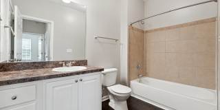 Tree Park Apartments Gallery 14