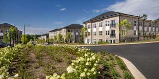 The Statesman Gallery 33