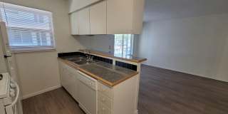 Penthouse Gallery 43