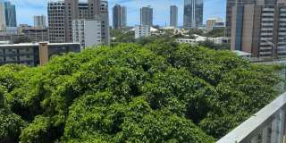 "The Barclay" in Makiki 1 BR/ 2BA/ 1 parking stall Gallery 27
