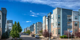 Arista Flats Gallery 2