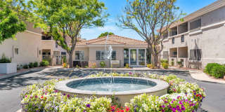 The Townhomes at Biltmore Gallery 28