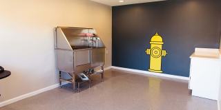 Summerfield Apartments Gallery 31