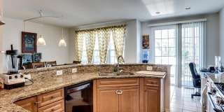 8250 RED CARNATION Court Gallery 26