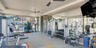 Monaco Row Gallery 22