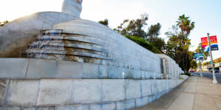 Sunset and Vine Sunset and Vine Gallery 41