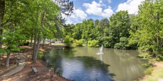 Somerset Apartments Gallery 15