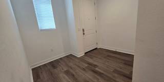 1110 Hibiscus Way Gallery 8