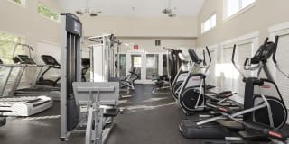 Olympus at The District Gallery 17