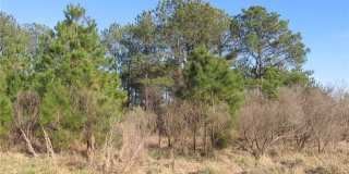 3820 Marlin Bay Court Gallery 9
