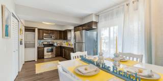 Sea Oats Sea Oats Gallery 89