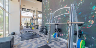 Essence Essence Gallery 20