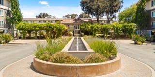 Northpark Gallery 17