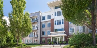 Arcadia at River's Edge Gallery 31