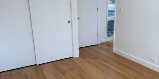 Silver Maple Stunning Gallery 19