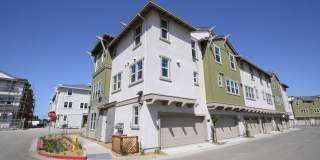 Newer Modern Style Townhome 3 beds + den and 2.5+ baths.  Attached garage. Gallery 1