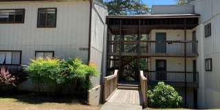 Don't Miss Out! Don't Miss Out! Gallery 1