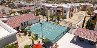 Sonoma Palms Gallery 34