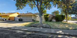 1654 Hemlock Street Gallery 1