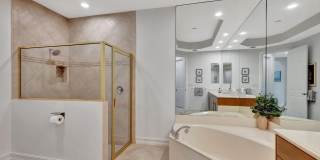 10156 N Orchid Reserve Drive Gallery 9
