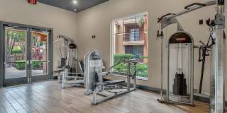 Sabal Palm at Lake Buena Vista Gallery 24