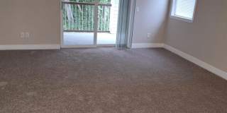 The Woodlands Apartments Gallery 7