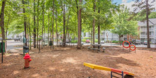 Avenue at Harbison Gallery 19