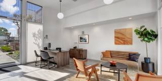 The Continental Gallery 24