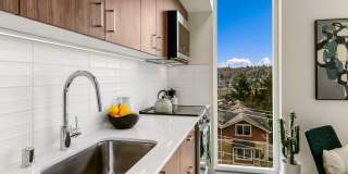 Fremont View: Modern Classic Collection Gallery 66