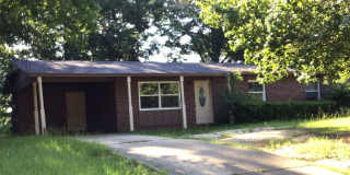 AVAILABLE NOW! Gallery 1