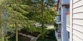 Wellington Place Apartments Gallery 91