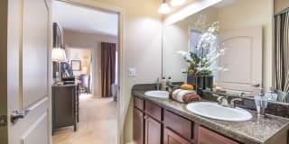 Odyssey Lake Apartments Gallery 21