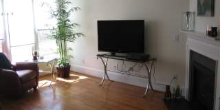 118 Finsbury in popular Davis Park Gallery 5