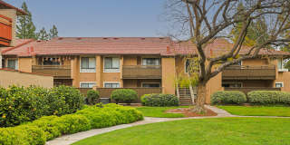 Citrus Place Gallery 56